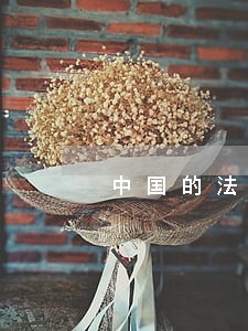 中国的法律有哪些可笑的地方 中国的法律有哪些可笑的地方