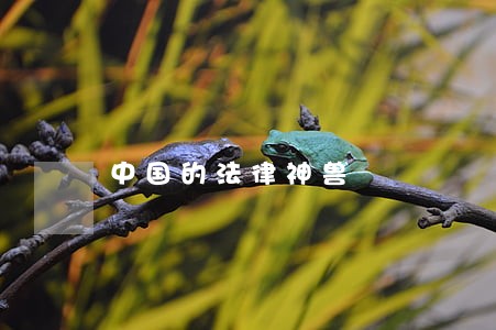 中国的法律神兽 中国的法律神兽