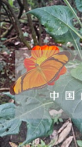 中国的法院办事效率太低下 中国的法院办事效率太低下