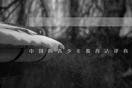 中国的青少年教育法律真的健全吗
