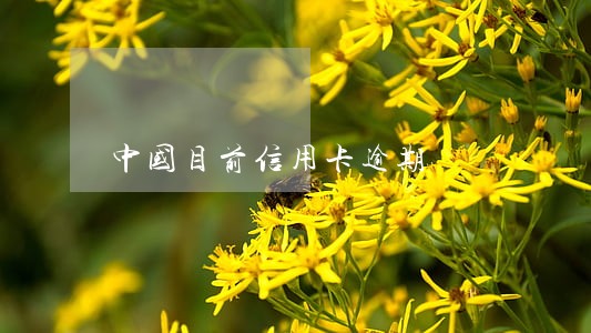 中国目前信用卡逾期