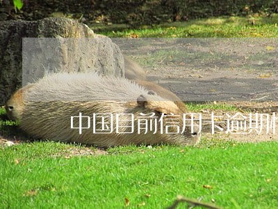 中国目前信用卡逾期情况浦发