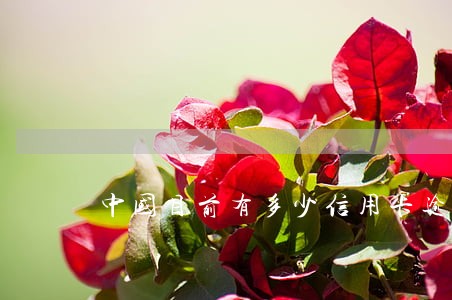 中国目前有多少信用卡逾期的
