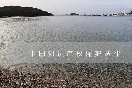 中国知识产权保护法律