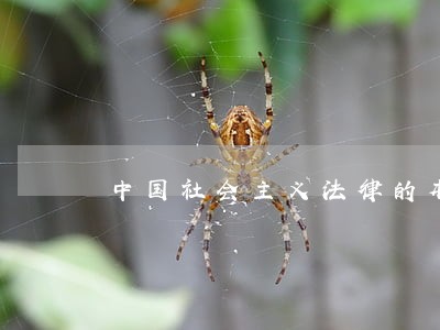 中国社会主义法律的本质特征