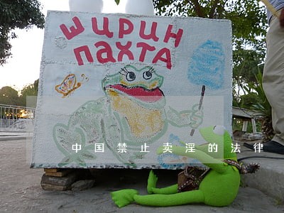 中国禁止卖淫的法律