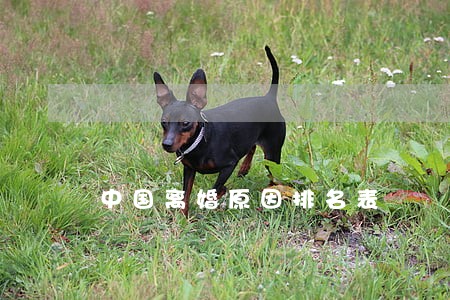 中国离婚原因排名表