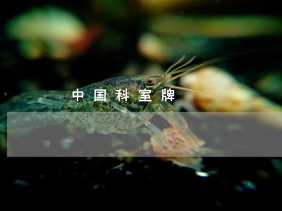 中国科室牌 中国科室牌