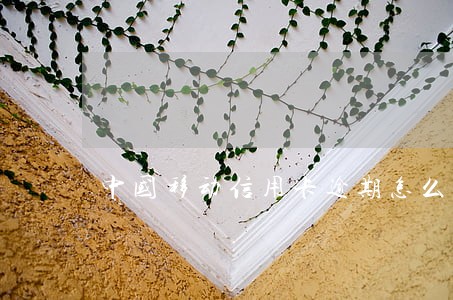 中国移动信用卡逾期怎么消除 中国移动信用卡逾期怎么消除