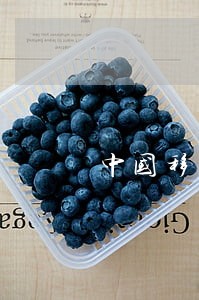 中国移民法案通过了么