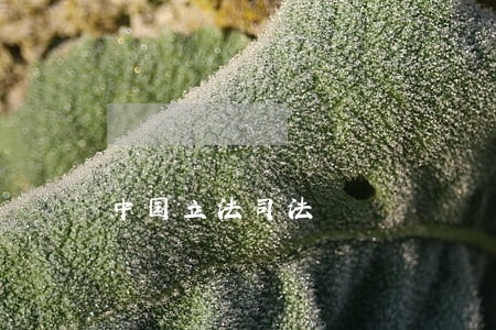 中国立法司法 中国立法司法