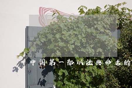 中国第一部以法典命名的法律 中国第一部以法典命名的法律