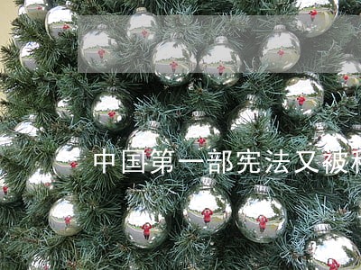 中国第一部宪法又被称为什么 中国第一部宪法又被称为什么
