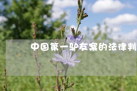 中国第一驴友案的法律判决