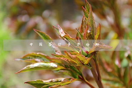 中国签订多少协助 中国签订多少协助
