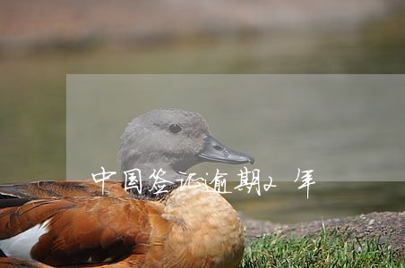 中国签证逾期2年