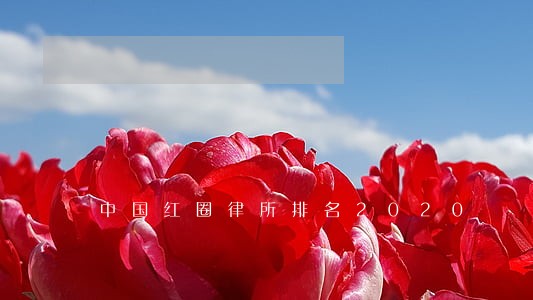 中国红圈律所排名2020