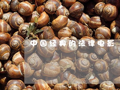 中国经典的法律电影