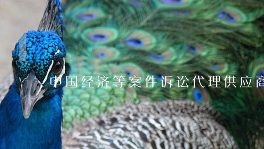 中国经济等案件诉讼代理供应商网 中国经济等案件诉讼代理供应商网