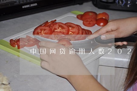 中国网贷逾期人数2021 中国网贷逾期人数2021