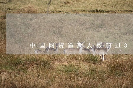 中国网贷逾期人数超过3亿浦发 中国网贷逾期人数超过3亿浦发