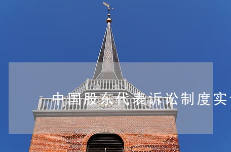 中国股东代表诉讼制度实证研究 中国股东代表诉讼制度实证研究