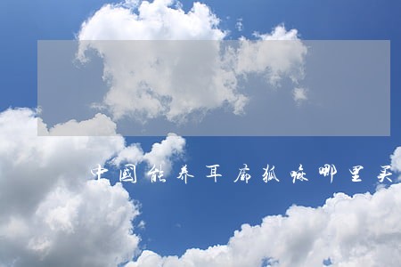 中国能养耳廓狐嘛哪里买违法嘛 中国能养耳廓狐嘛哪里买违法嘛