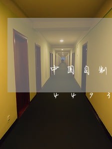 中国自制飞行器违法吗/2023020244936 中国自制飞行器违法吗/2023020244936