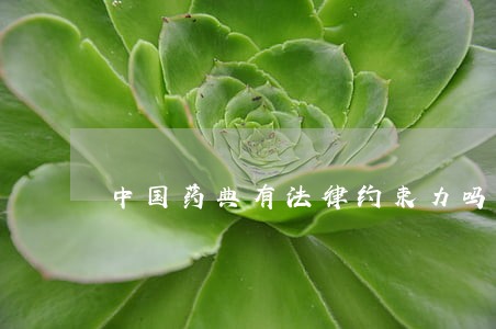 中国药典有法律约束力吗