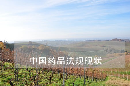 中国药品法规现状 中国药品法规现状