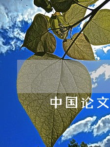 中国论文范文员问责条例论文范文 中国论文范文员问责条例论文范文