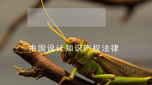 中国设计知识产权法律 中国设计知识产权法律