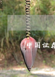 中国证券法规定的证券包括 中国证券法规定的证券包括
