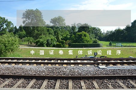 中国证券集体诉讼程序 中国证券集体诉讼程序