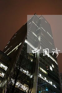 中国诊所法律教育十年反思 中国诊所法律教育十年反思