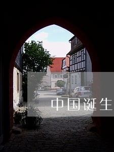 中国诞生后的第一部宪法 中国诞生后的第一部宪法