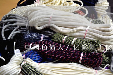 中国负债人7亿逾期3亿 中国负债人7亿逾期3亿