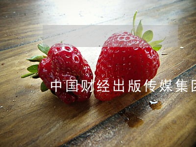 中国财经出版传媒集团经济法 中国财经出版传媒集团经济法