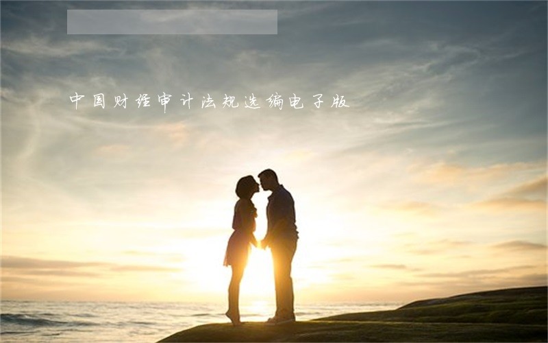 中国财经审计法规选编电子版