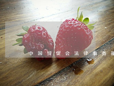 中国贸促会法律事务部黄河