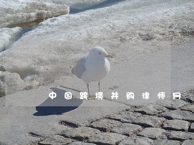 中国跨境并购律师网 中国跨境并购律师网