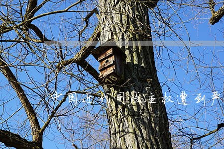 中国近代司法主权遭到严重破坏 中国近代司法主权遭到严重破坏