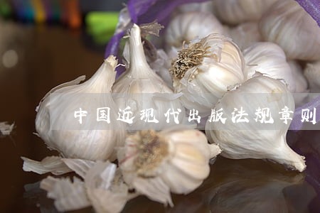 中国近现代出版法规章则大全 中国近现代出版法规章则大全