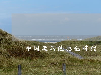 中国进入法典化时代 中国进入法典化时代