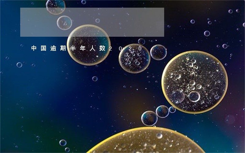 中国逾期半年人数2020