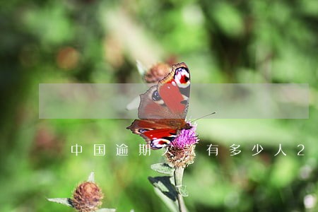中国逾期欠款有多少人2020