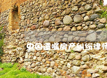 中国遗嘱房产纠纷律师 中国遗嘱房产纠纷律师