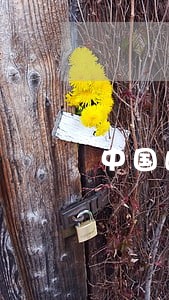 中国邮储银行信用卡逾期好协商不