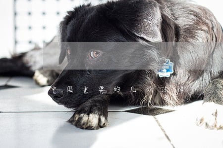 中国重要的几部法律