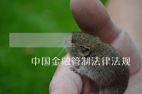 中国金融管制法律法规 中国金融管制法律法规